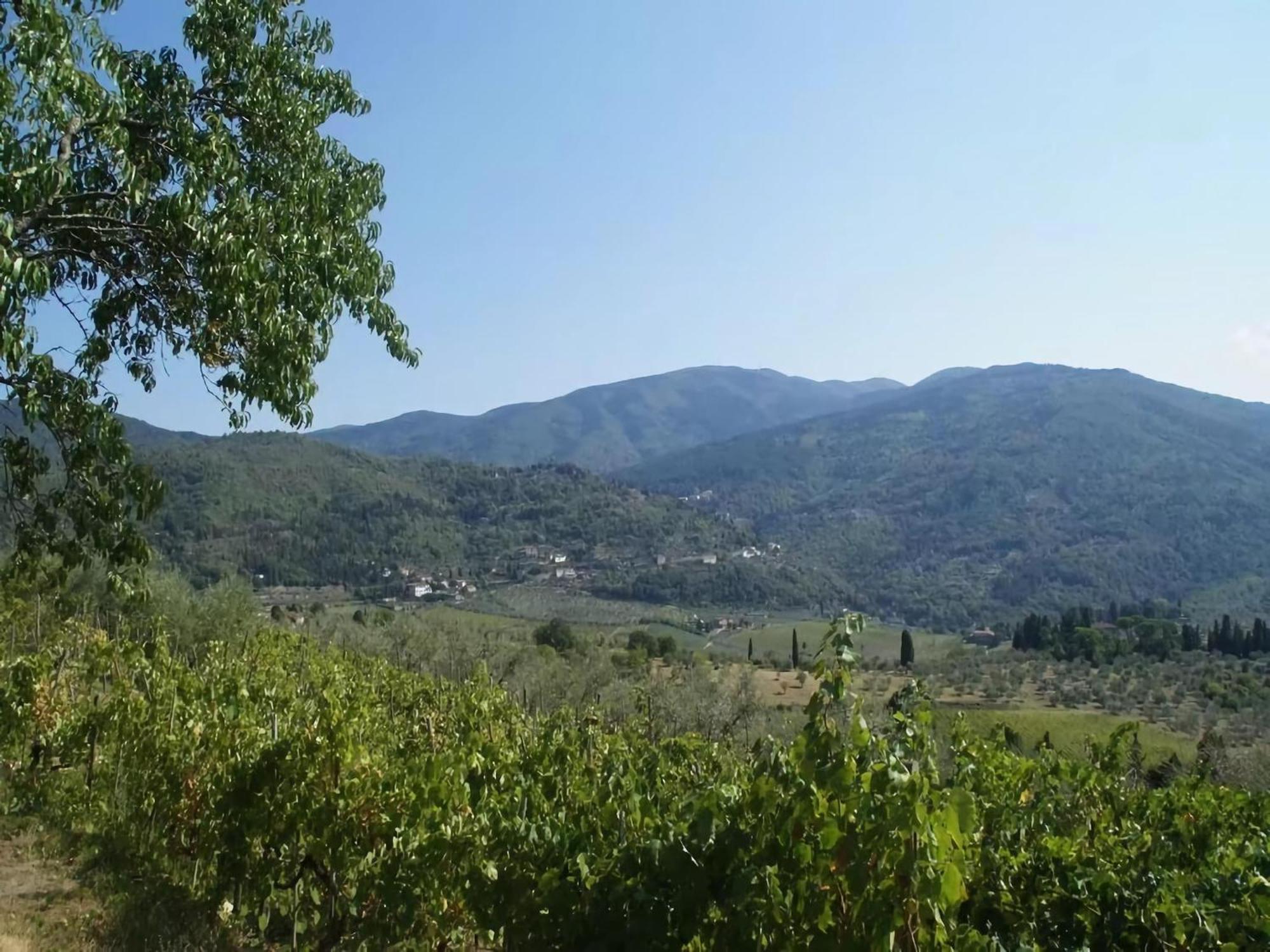 Cosy Forno In Pelago With Swimming Pool Holiday home Donnini